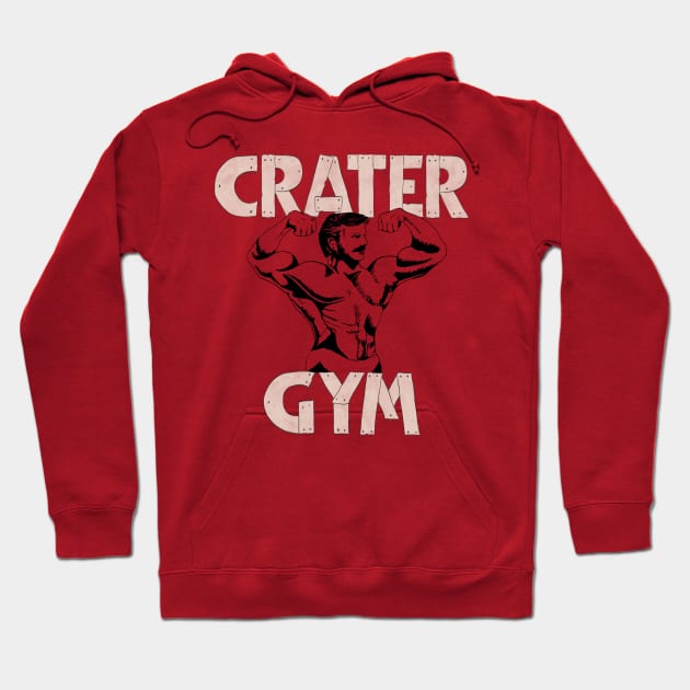 Love Lies Bleeding Inspired Vintage Crater Gym Grey Hoodie by Hanneliza